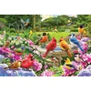 Eurographics - Puzzle Zbiranje ptic - 2 000 kosov