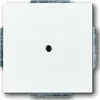 Busch-Jaeger Busch-Jaeger Centralni disk dav/sws slepi izhod s podpornim obročem 1742-84, (20858385)