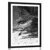 Plakat s paspartujem lepote plaža Anse Source v črnobeli varianti - 60x90 black