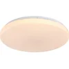Rabalux 71443 - LED prigušiva plafonska lampa DANNY 2 LED/60W/230V 3000-6500K prečnik 58 cm + daljinski upravljač