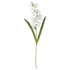 SMYCKA Veštački cvet, gladiola/bela, 100 cmPrikaži specifikacije mera