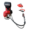 RAMDA PRO motorna nahrbtna kosa BG-630