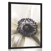 Plakat cvetoči cvetovi - 30x45 no frame
