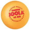 Joola Training Ball