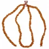 Girlanda bakrena