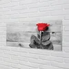 tulup.si Slika na akrilnem steklu Rose 140x70 cm 4 obešalnika