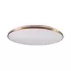 LED prigušiva plafonska lampa KERN LED/80W/230V pr. 80 cm zlatna + daljinski upravljač