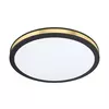 Eglo Pescaito zidna/plafonjera/1, led, 12w, 1350lm, prečnik 280, crna/zlatna/čelik