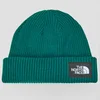 The North Face  SALTY LINED BEANIE  Zelena