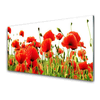 tulup.si Slika na steklu Rastlinskih mak naravi 120x60 cm 2 obešalnika