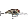 STORM Wiggle Wart® V163