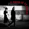 The Black Crowes - A Pound of Feathers (180 g) (LP)