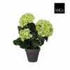 Hortenzija zelena veštačka u saksiji h40xd35cm dsy 8