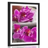 Plakat s paspartujem čudovita orhideja in Zen kamni - 60x90 no frame