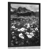Plakat travnik cvetočih cvetlic v črnobeli varianti - 20x30 no frame