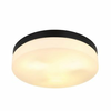 GLOBO plafonejra Vranos 32113B
