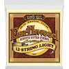 Ernie Ball 2010 Earthwood 12 Light