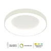 LED plafonska lampa F2049-86C WH