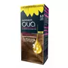 Garnier Olia boja za kosu 6.3