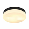 GLOBO plafonejra Vranos 32112B