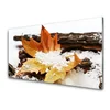 tulup.si Slika na steklu Jesenski gozd leaf narava 120x60 cm 4 obešalnika