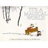 Its A Magical World