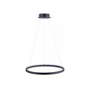 Paul Neuhaus 2382-13 - LED prigušiva luster na sajli TITUS LED/38,5W/230V