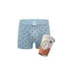A-dam Boksarice Take Away Coffee svetlo modra / rjava / bela