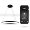 WiFi Tuya 40cm LED okrogla svetilka črne barve, viseči obroč, krog