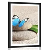Plakat s paspartujem modri metulj na Zen kamnu - 30x45 silver