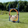 Agility krug za treniranje psa