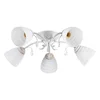 Plafonska lampa MD2739-5 WG