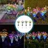 Solarne lampe Gerberi set 2kom