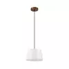 Luster na lanku AIDA 1xE27/60W/230V prečnik 25 cm hrast/orah/bela