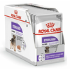 Royal Canin STERILISED CARE DOG, vlažna hrana za pse 12x85g