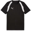 Puma Dres teamFINAL26