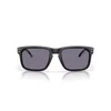 Oakley Holbrook Naočare OO 9102 Z3