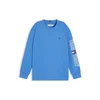 TOMMY HILFIGER Majica Logo Long Sleeve svetlo modra / živo rdeča / bela