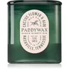 Paddywax Vista Cactus Flower & Aloe dišeča sveča 340 g