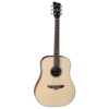 VGS akustična kitara RT-10 ROOT NATURAL SATIN