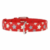Svetleča usnjena ovratnica z zvezdicami, red 21-29 cm, 12 mm