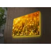 Zidna slika sa LED osvetljenjem 4570DACT-66, 45x70 cm