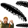 Vaba za črve iz črvov Larva 040, črni sirni črv, kozarec 4,5 cm, 8 kosov