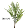 Praprot 120 cm sedaj 50% POPUST - 101 do 150 cm