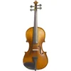Stentor Graduate 4/4 Akustična violina (Rabljeno)