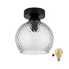 BRILAGI - LED stropno svetlo R GLASS 1xE27/60W/230V prečnik 18 cm crna/zadimljeno siva