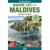 Marine Life of the Maldives - Indian Ocean