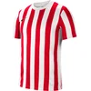 Jersey Nike Y NK Division 4 DRY SS JSY