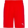 Puma Hlače rdeča 182 - 187 cm/L Teamrise