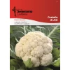 Seme cvetača Di Jesi